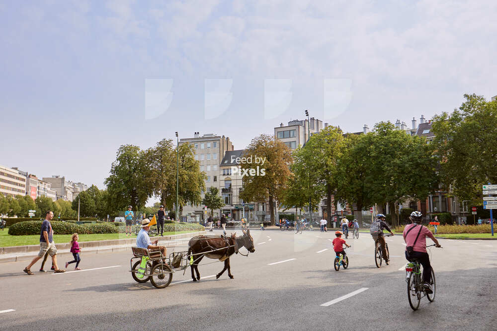 Avenue de Tervuren Woluwe Saint Pierre