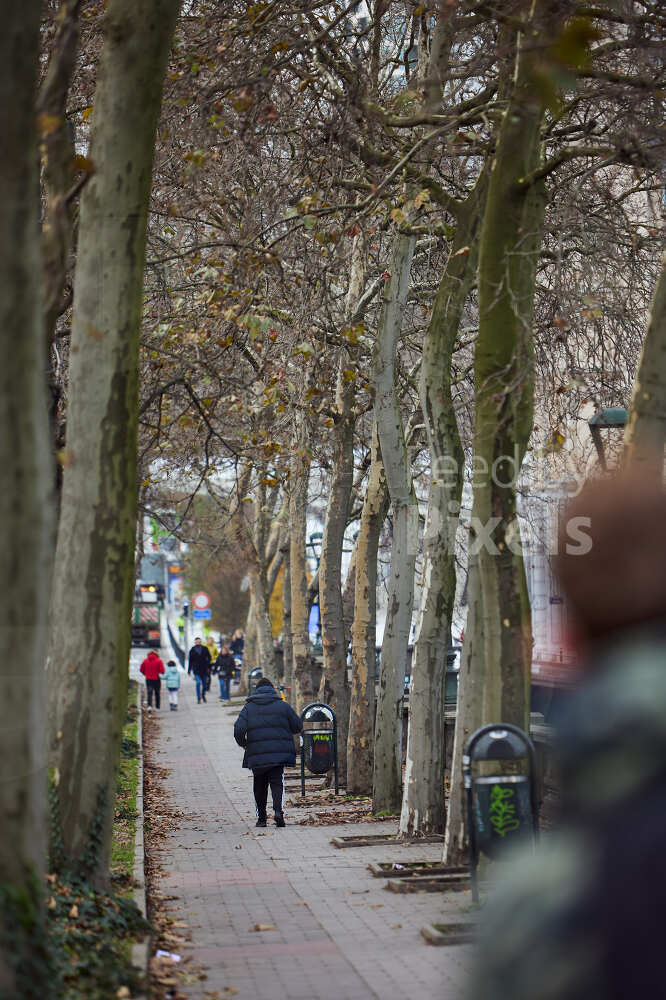 Personnes marchant le long du boulevard du jardin botanique par une journée d hiver