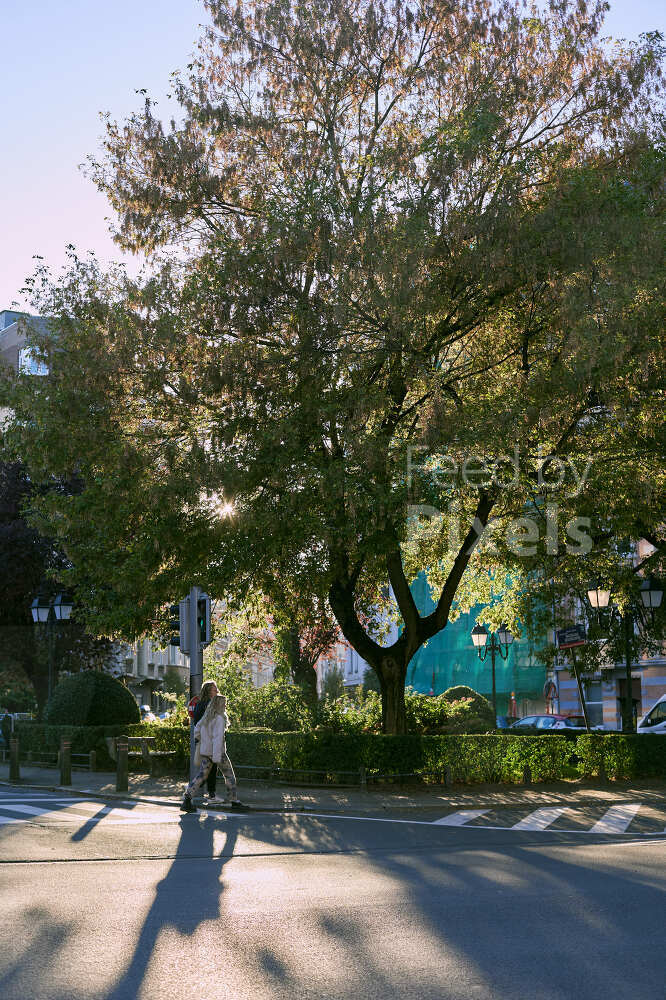 Place Charles Graux Ixelles